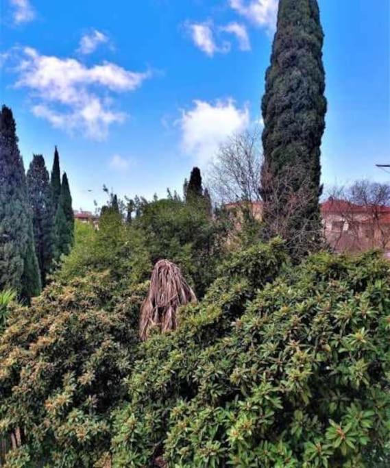 Casa Raffaello Careggi Apartman Firenze Kültér fotó